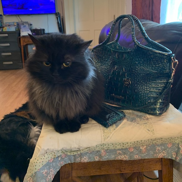 Meet your Posher, Lisa - Picture 4 of 12